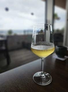 ���C��������