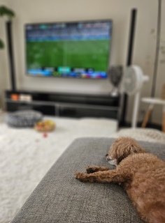 ���U���I��