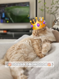 7��6��