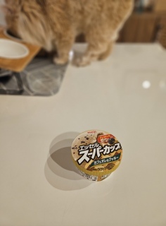 �����C�オ���