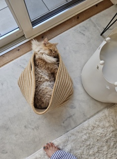 �����̂��悤