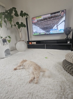 �I������A�A�A