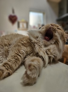 ���͂�[