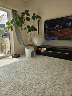 MLB�I�[���X�^�[���Ȃ���