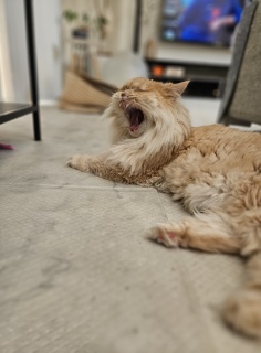 ���͂�[