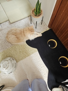 ���a