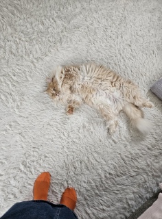 ��U�A���