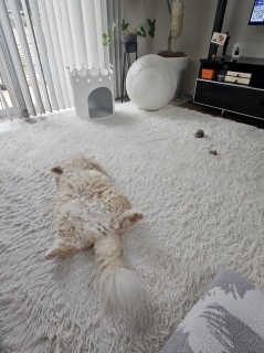 ���͂�[��