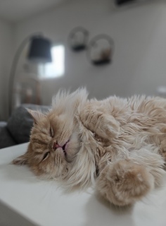 ���͂�[��