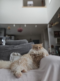 �f���܂���