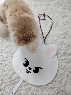 �R
