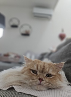 ���͂�[