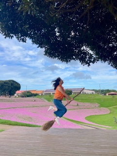 �����̑�}��