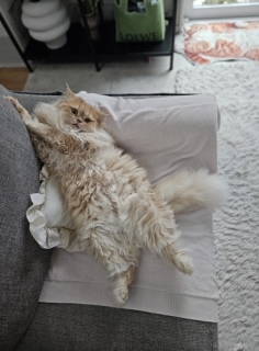 ���͂�[