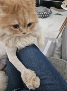 �������