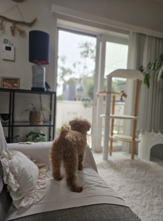 �퓬���[�h