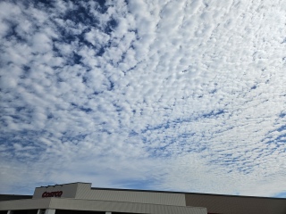 COSTCO