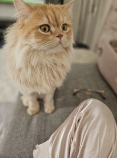�ڂ�ɂ��Ă邯��