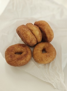 �V�����̃h�[�i�c