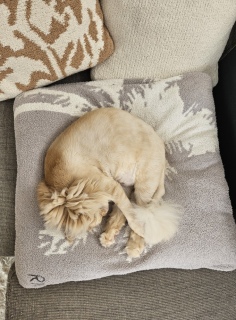 �����ɂ�[