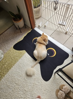 �Ƃɂ����O�ɏo����
