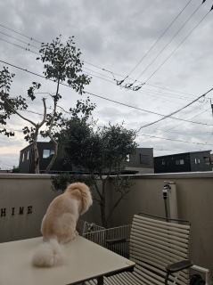 �C���������ˁ[
