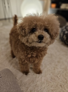 �܂��ˁ[