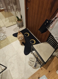 �Q�Ȃ��Ȃ�A�͂�A�����Ă����[